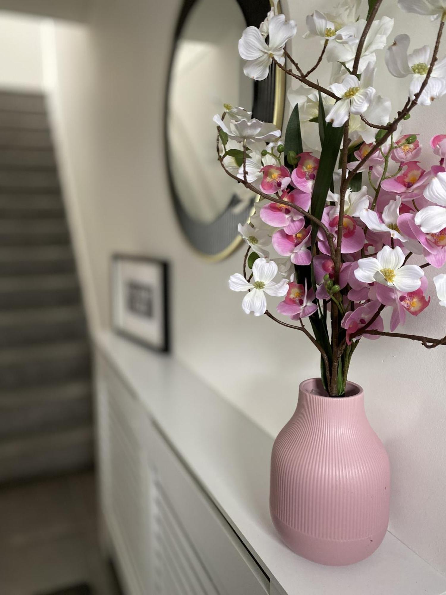 Belmont Residence Belfast Luaran gambar